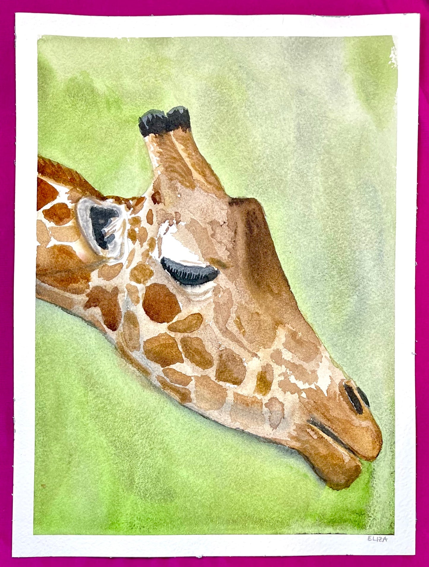 Giraffe