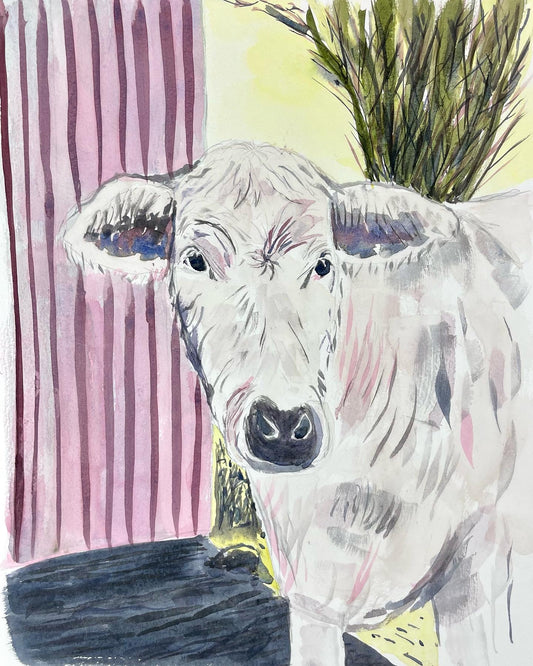 Irish Cow I