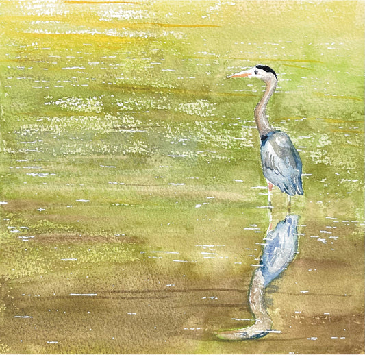 Heron Standing