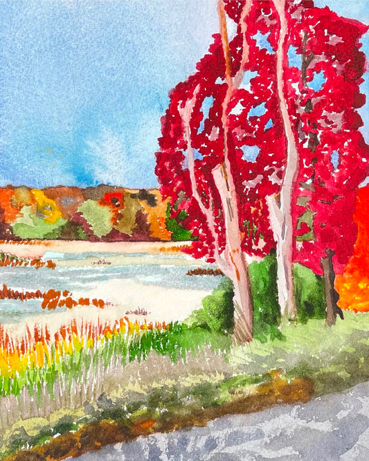 Connecticut Salt Marsh