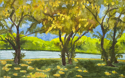 Trees on Kelly Drive