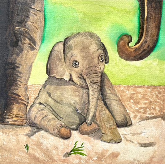 Baby Elephant
