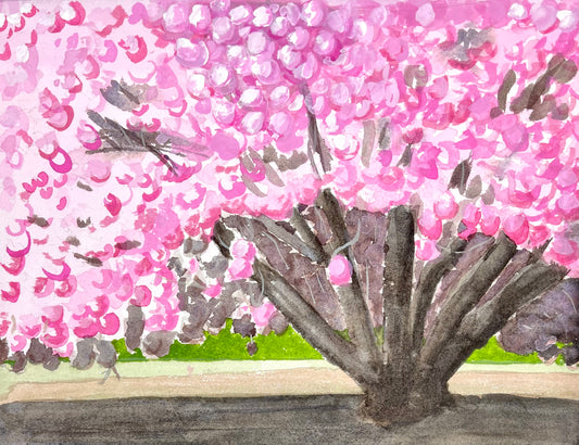 Cherry Tree